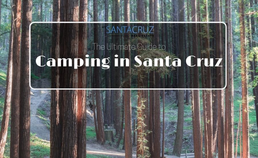 Guide to camping in santa cruz