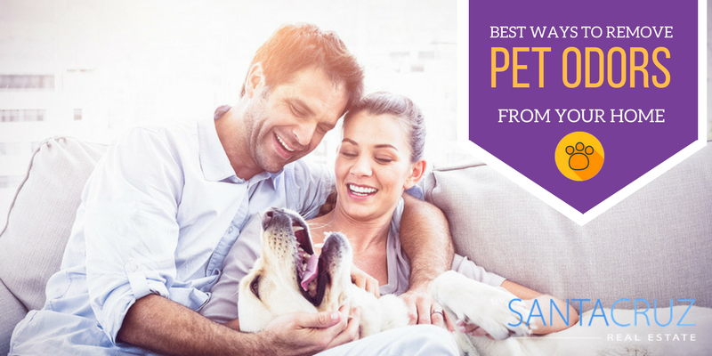 Remove pet odors from your home
