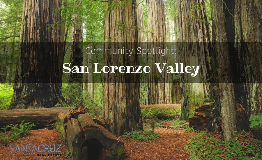 San Lorenzo Valley real estate 