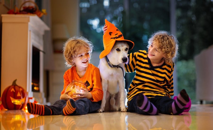Two kids and their dog celebrating Halloween in the living room