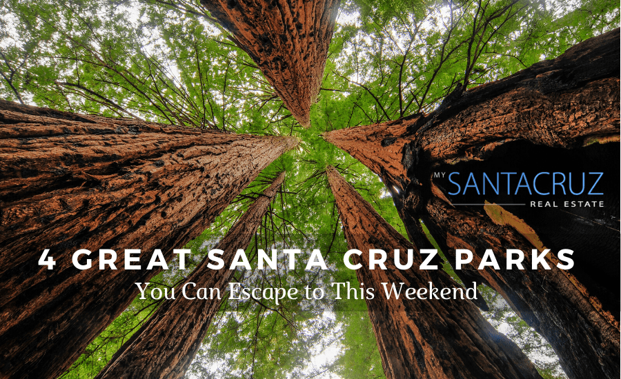 4 great santa cruz parks to escape to this weekend