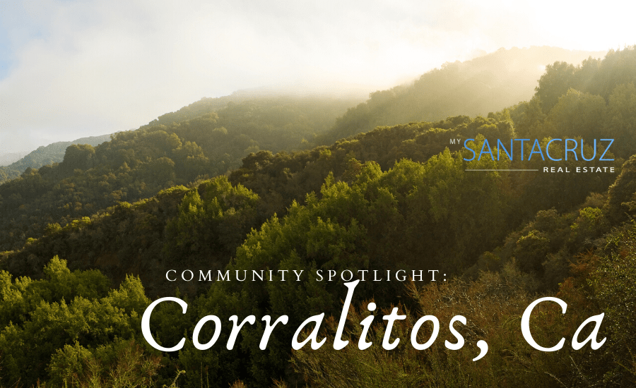community spotlight on corralitos, ca