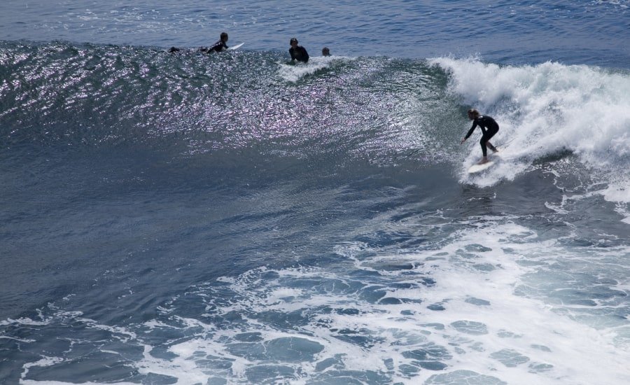 Surfers hitting the waves at Santa Cruz beaches