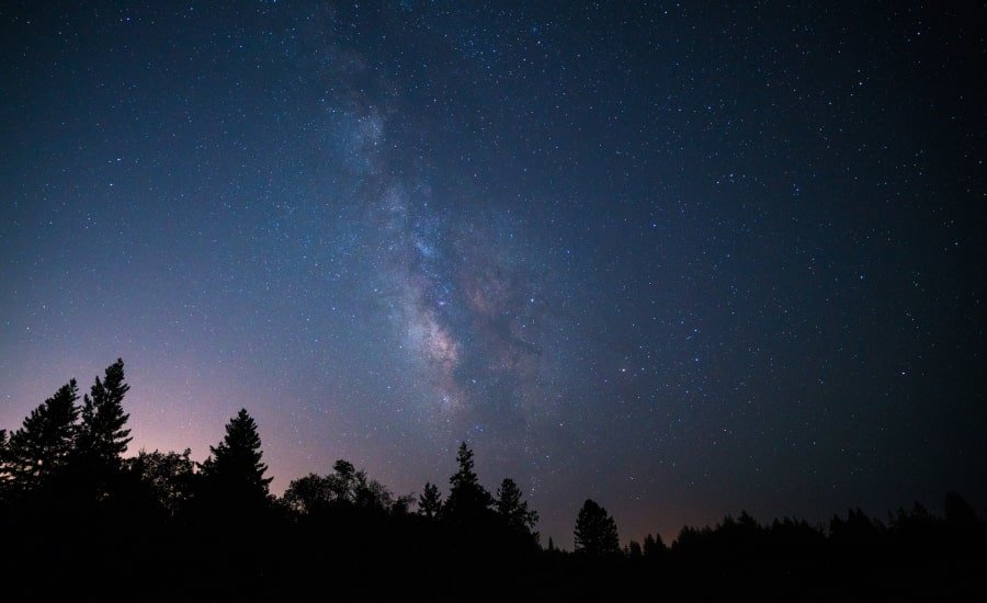 Milky Way stars over Santa Cruz trees