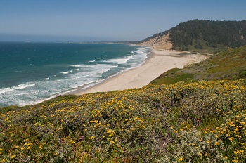 beach in davenport california