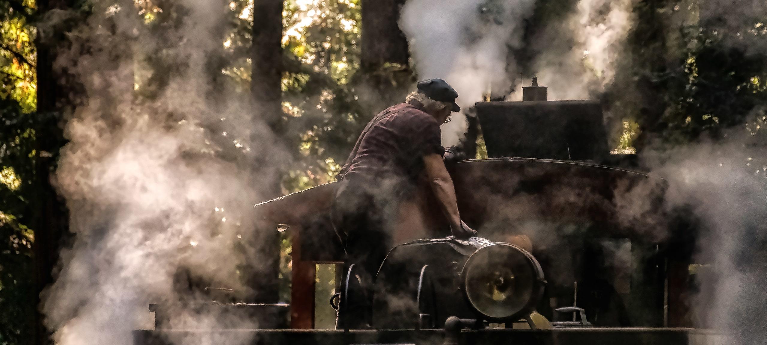 Engineer and steaming forest train at Roaring Camp Railroad, Felton, CA