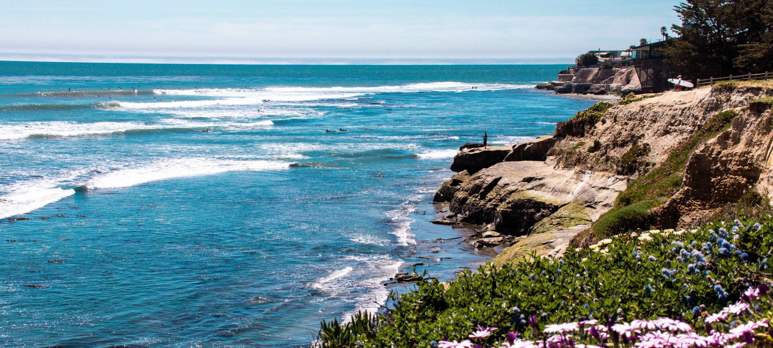 Flowers alongside cliffs on sunny Santa Cruz, CA oceanfront