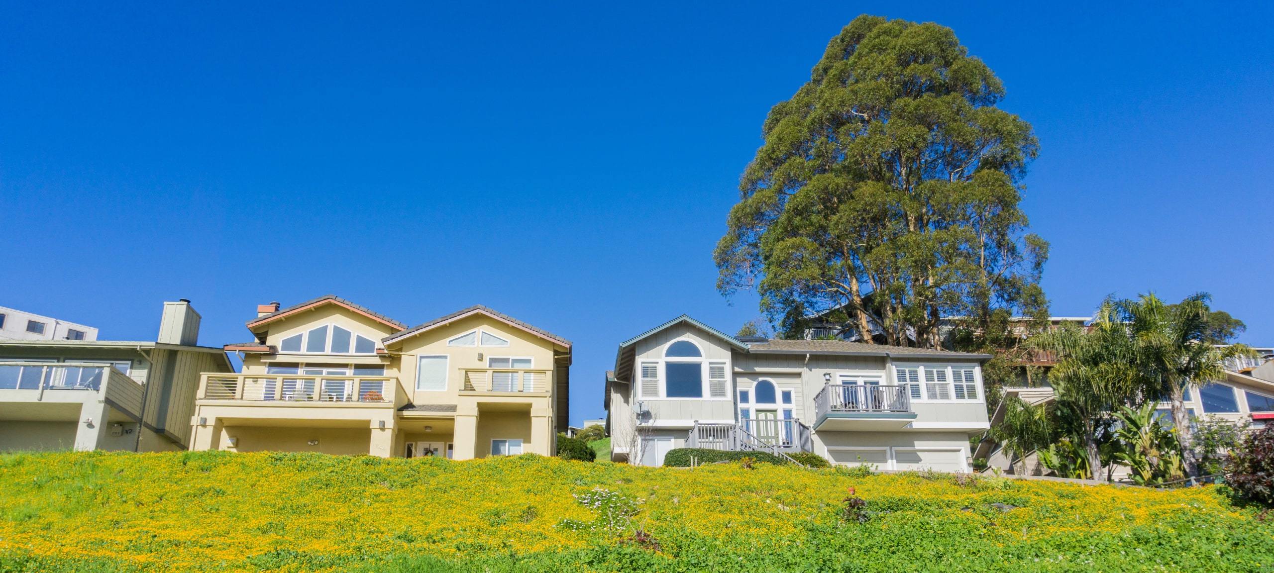Sunny view of homes on hill in Santa Cruz, California