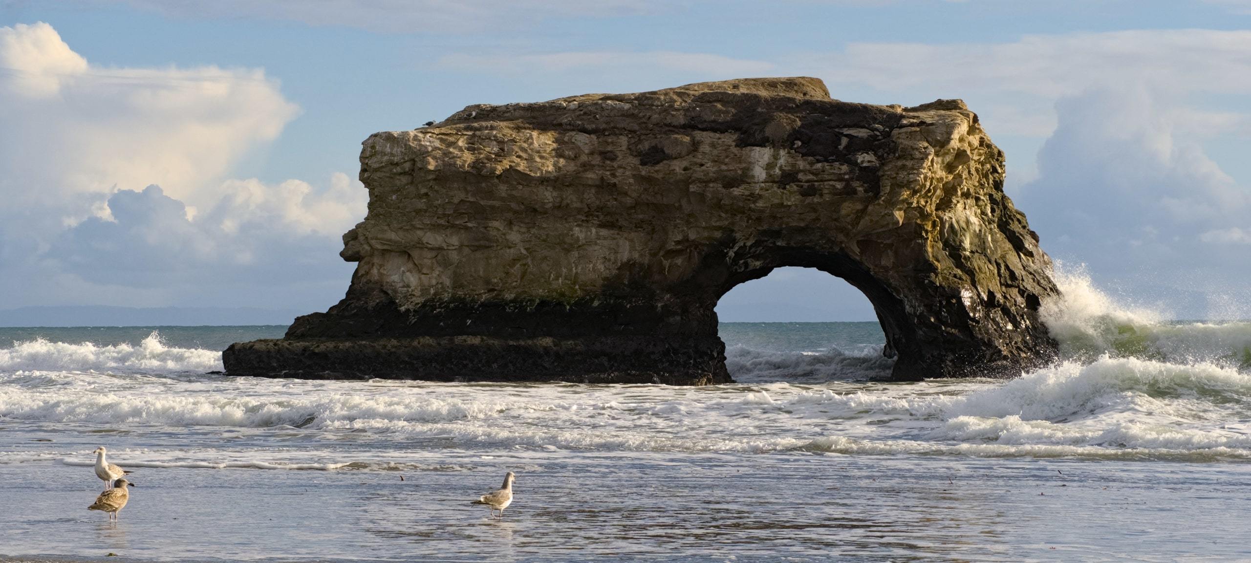 Rock formations at Natural Bridges State Beach, Santa Cruz