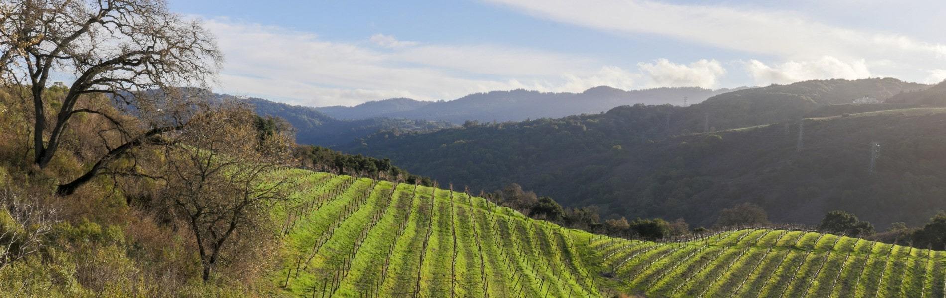 View of winery near Santa Cruz real estate