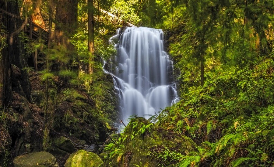 Berry Creek Falls at Big Basin Redwoods State Park, CA