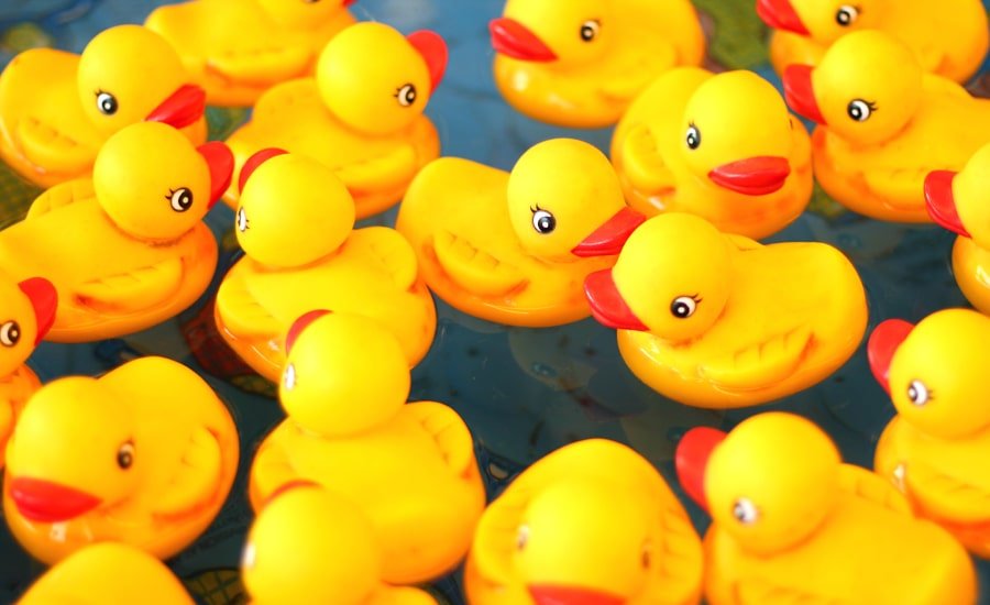 Assorted yellow rubber ducks in water