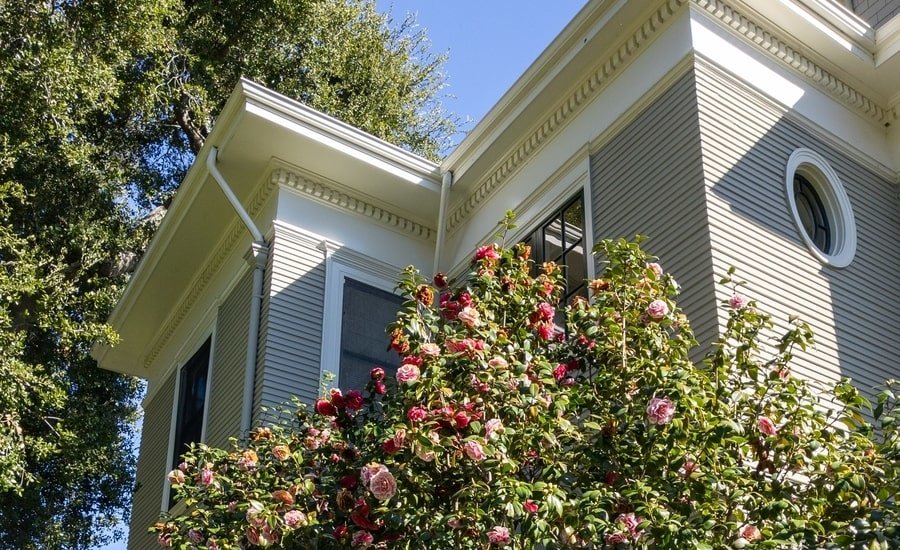 Upwards view of historic home with rose bushes