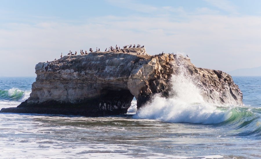 Seagulls on rock formation at Natural Bridges State Beach in Westside Santa Cruz